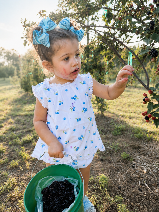 Blueberry Patch Set