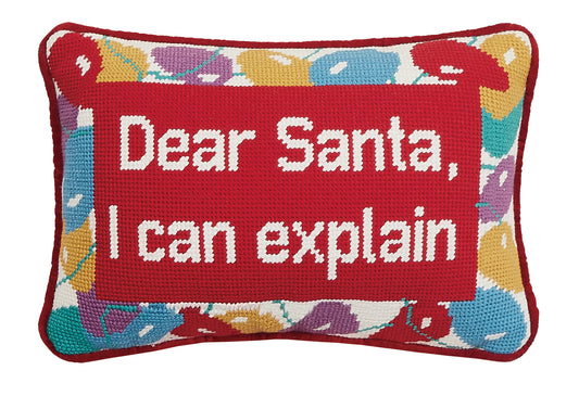 I Can Explain Needlepoint Pillow
