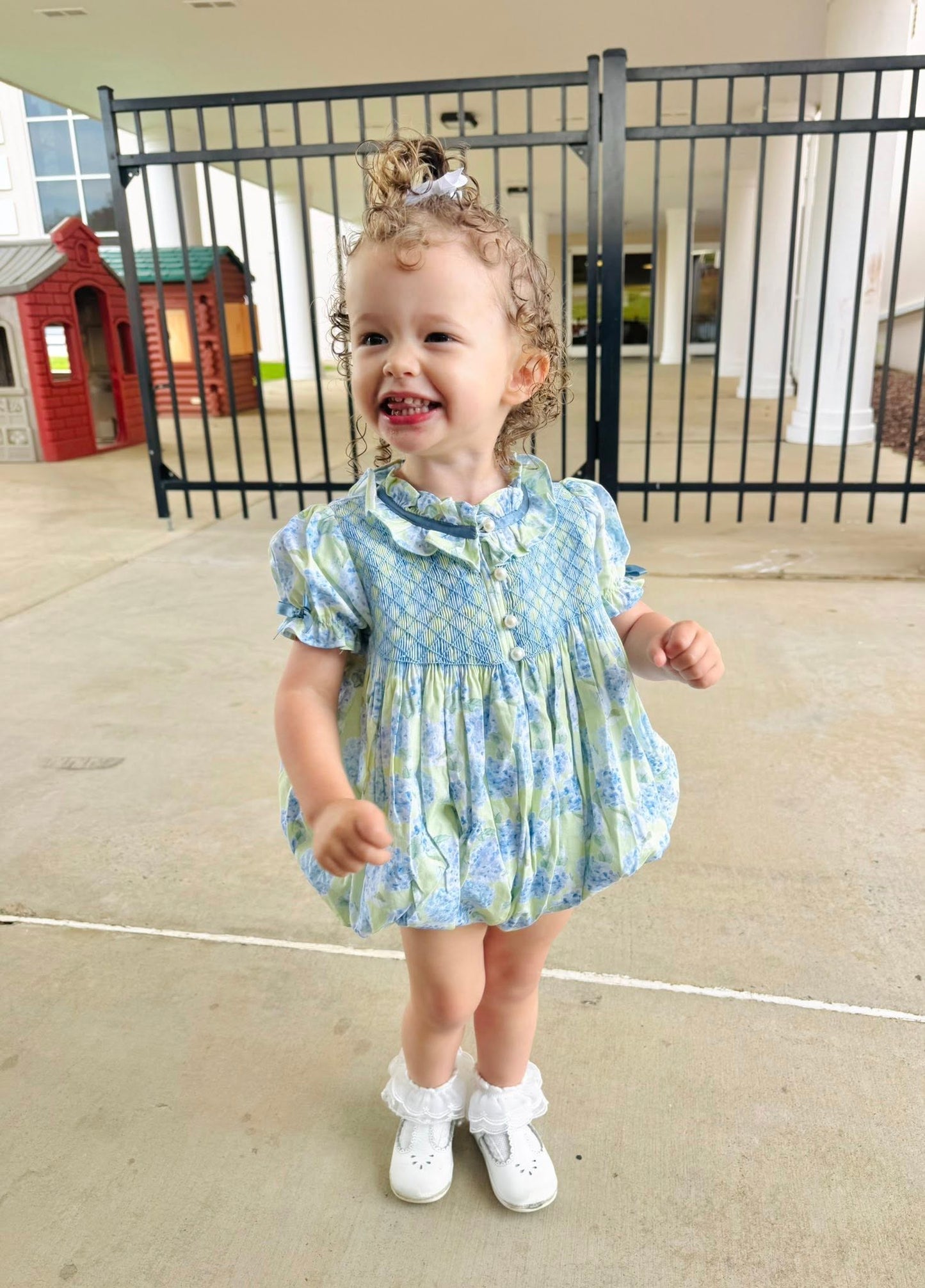 Sweet Hydrangeas Heirloom Bubble (June ETA)