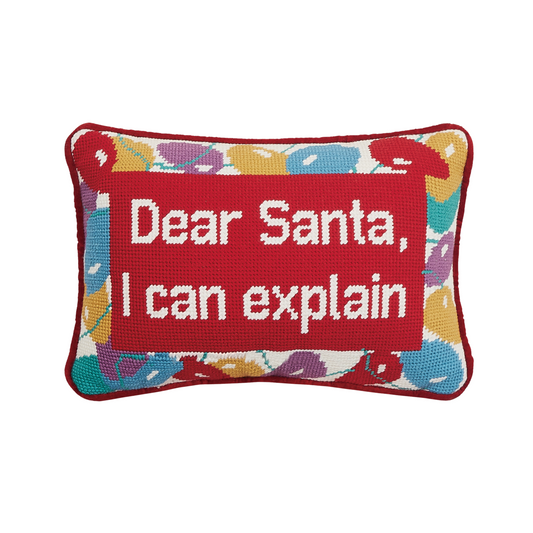 I Can Explain Needlepoint Pillow